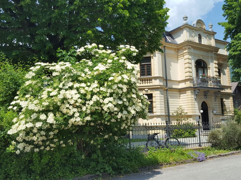 Aussicht