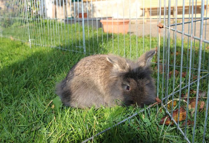Bild 9