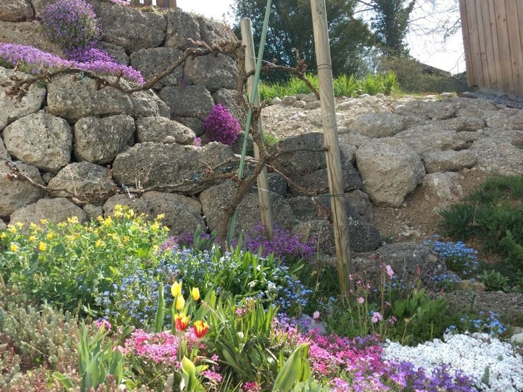 Blumen