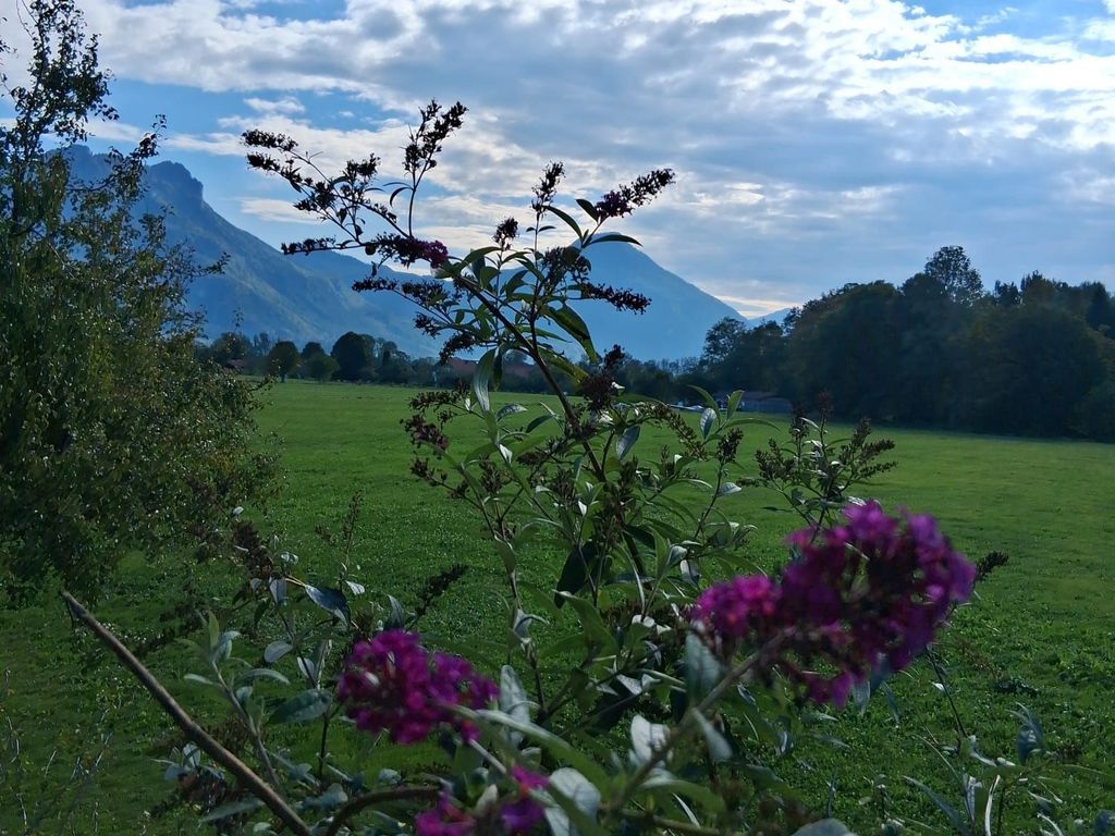 Ausblick vom Balkon Südost