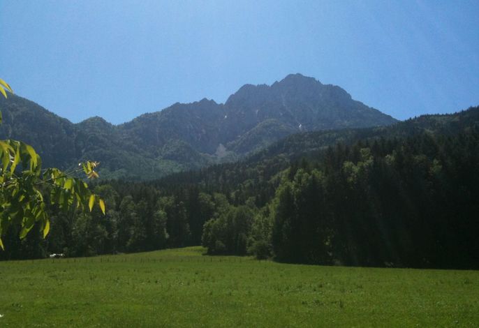 Bild 7