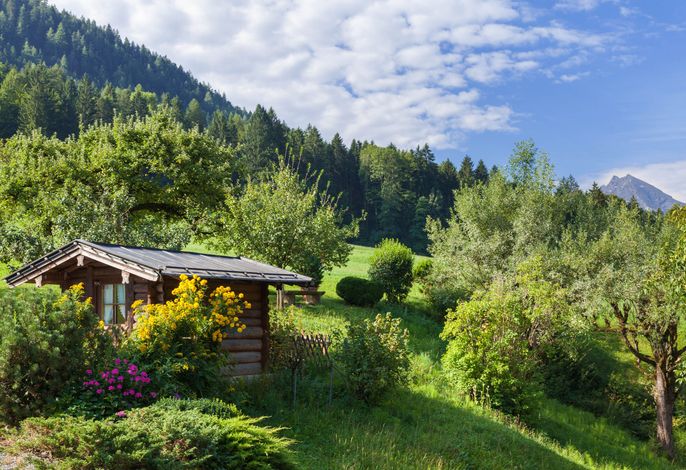 Bild 11