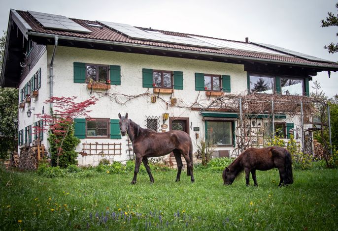 Ferienwohnungen Eisele "Die mit dem Pferd"