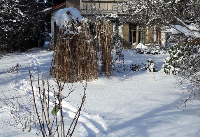 Bild 18