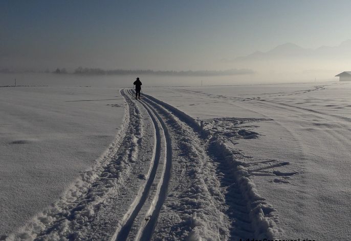 Bild 19