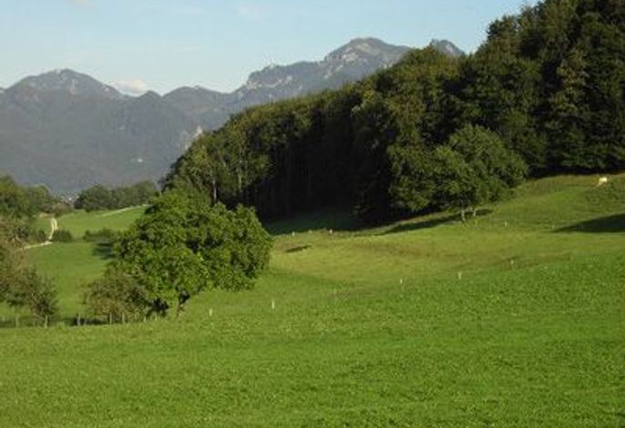 Bild 21