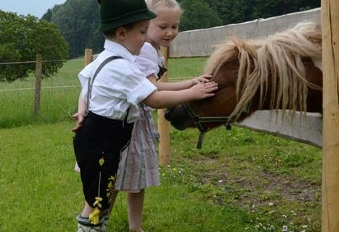 Bild 19