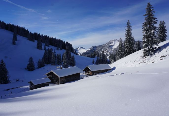 Bild 16