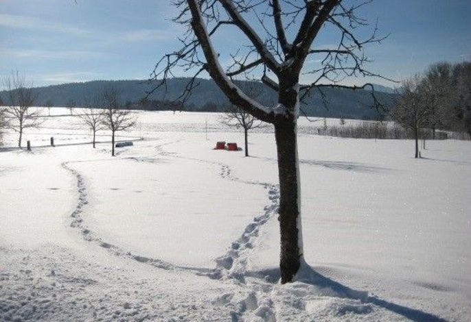Bild 11