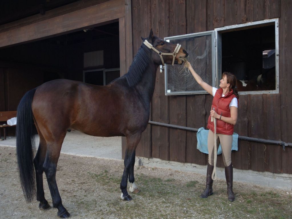 Reitpferd mit Trainerin