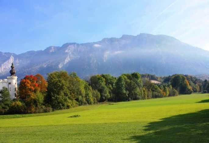 Bild 14