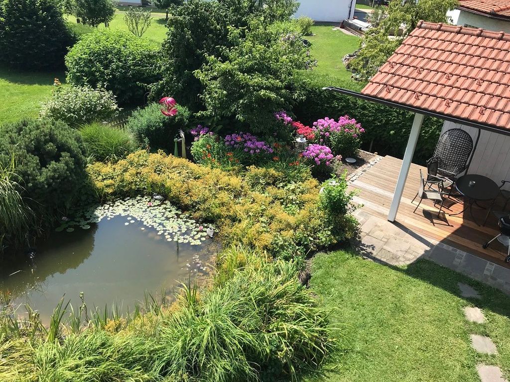 Blick von oben zum Teich und Freisitz