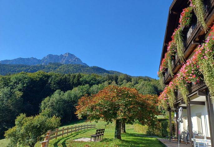 Bild 13