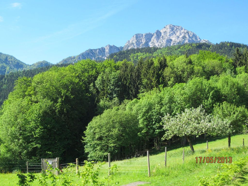 Hölbinger Alm