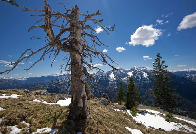 Bild 13
