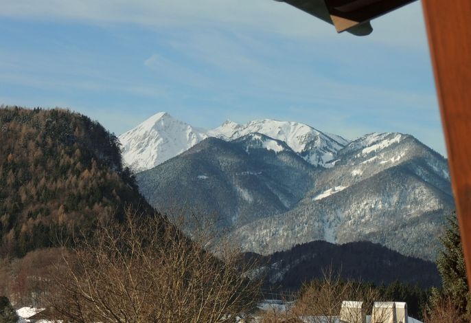 Bild 15