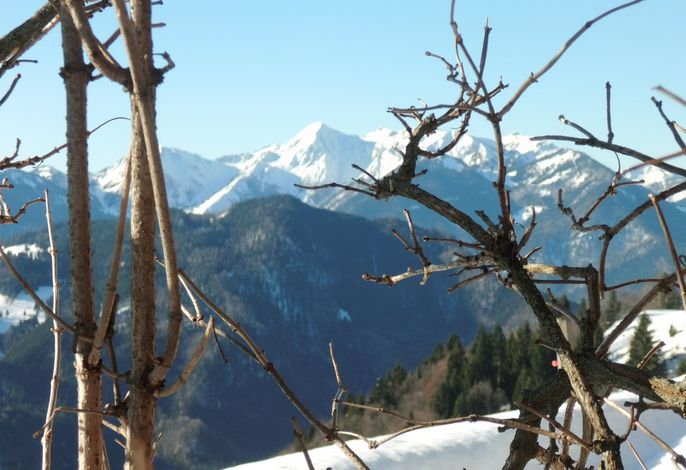 Bild 14