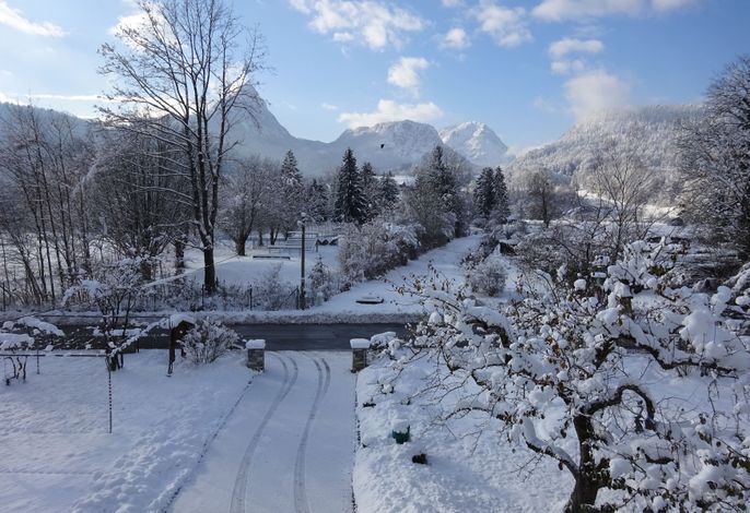 Bild 15