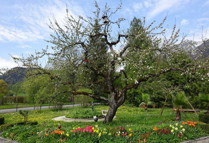 Bild 7