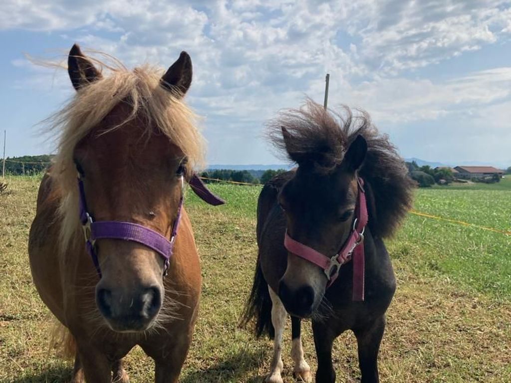 Zilly und Daisy
