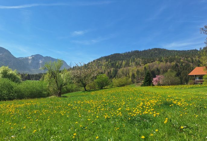Bild 19