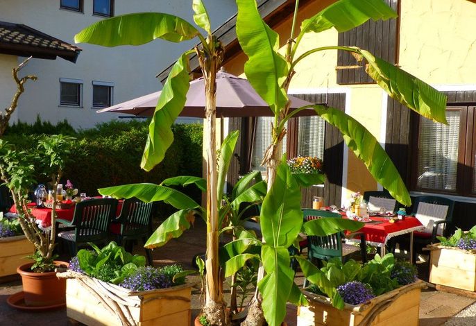 Bild 15