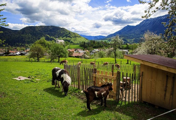 Bild 13