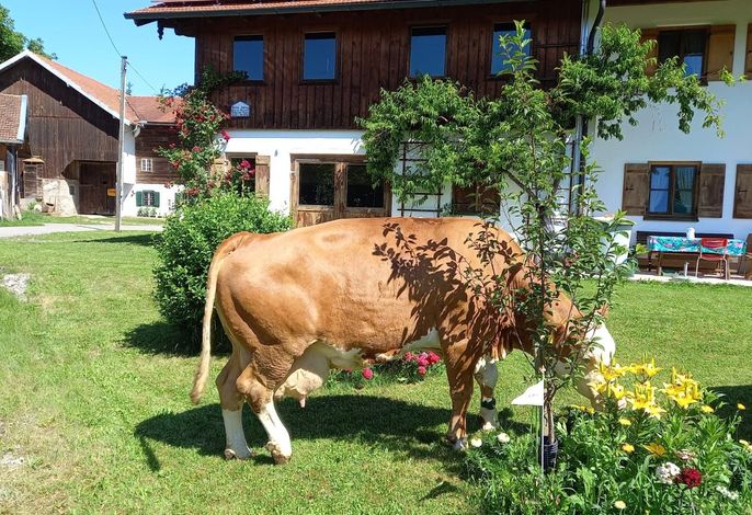 Bild 6
