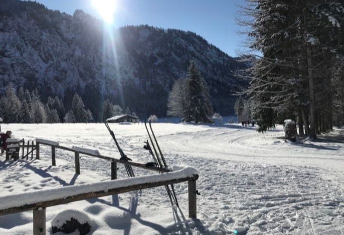 Bild 15