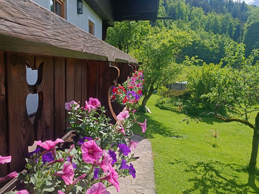 Balkonblumen Antenbichllehen