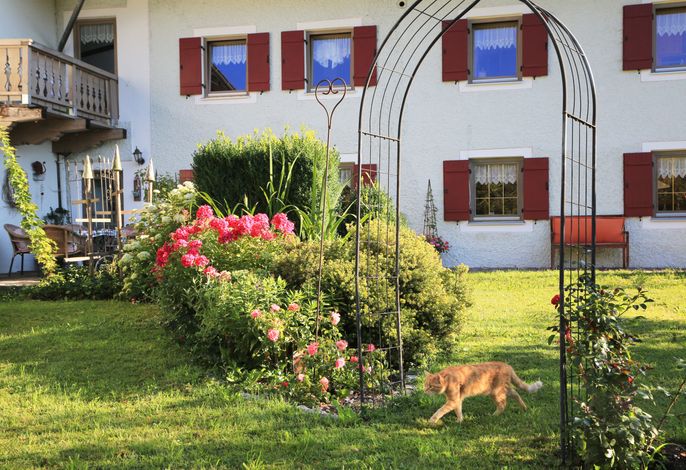 Bild 13