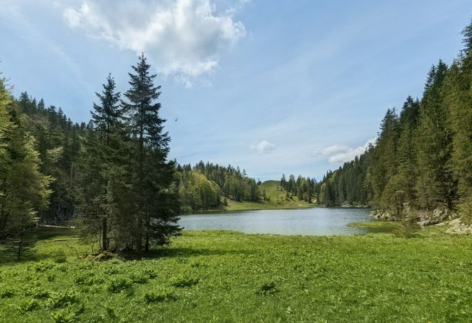 Bild 19