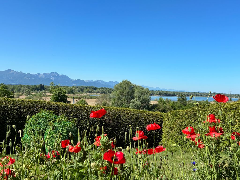 Blick vom Haus auf den Chiemsee und die bayrischen Alpen