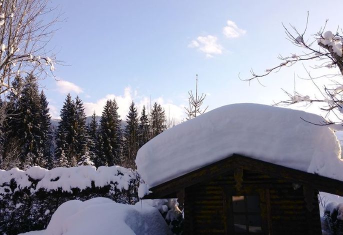 Bild 33