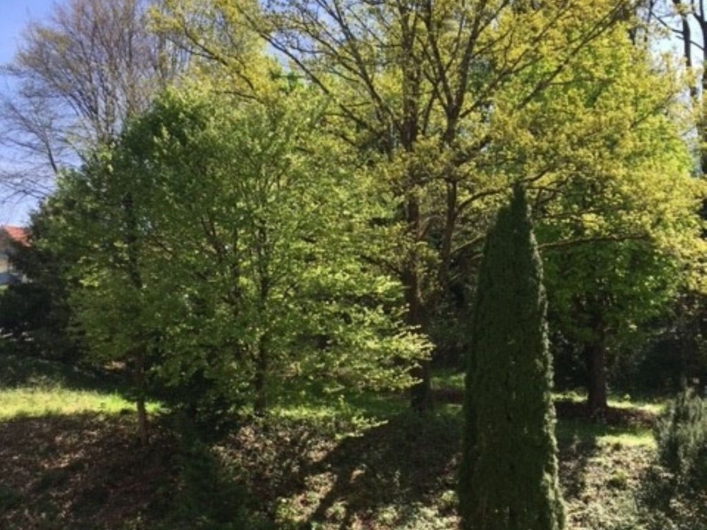 Aussicht