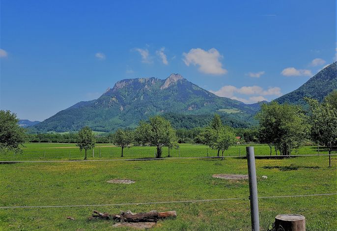 Bild 18