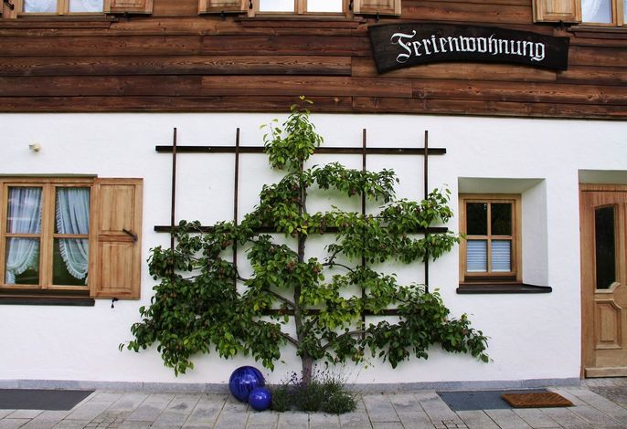 Bild 4