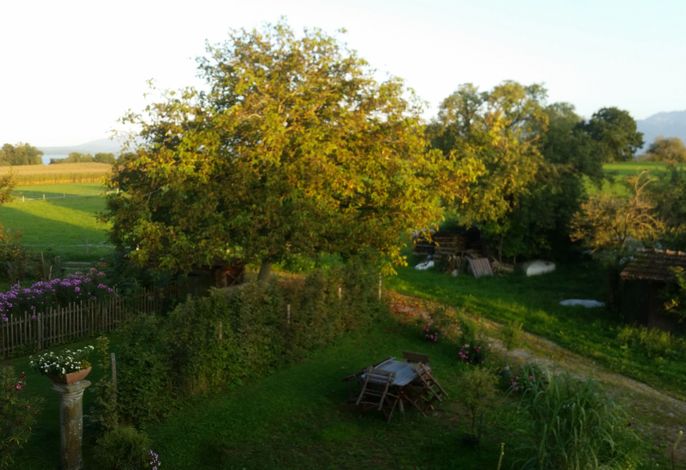 Bild 13