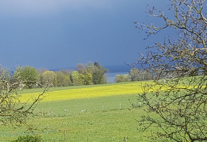 Bild 16