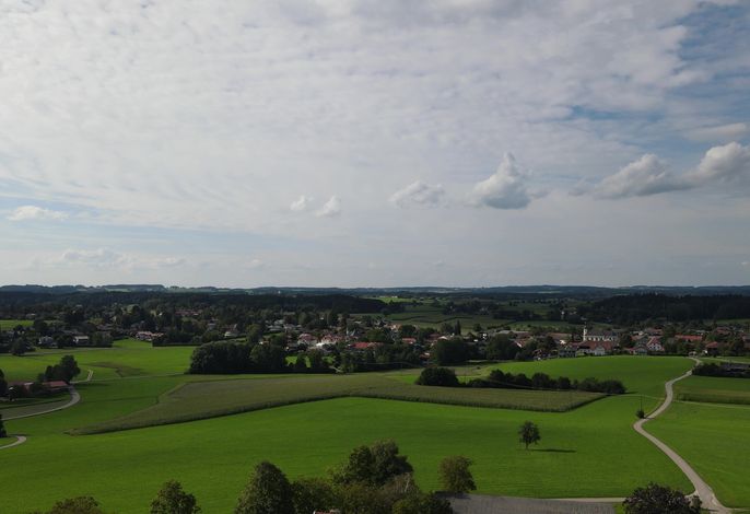 Bild 36