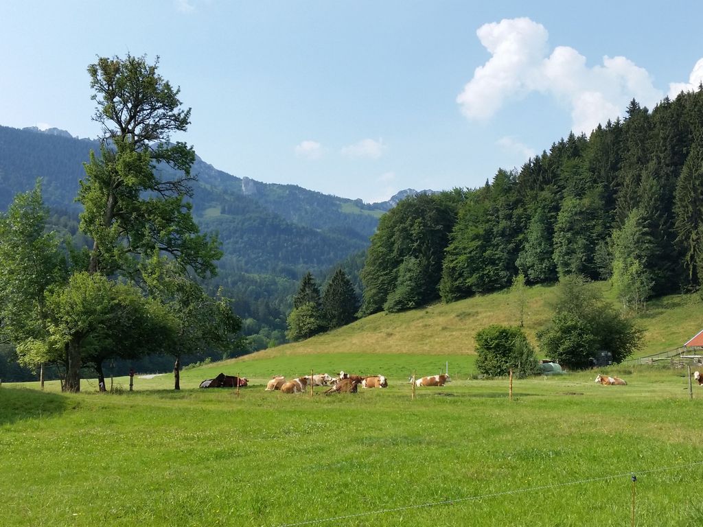 Natur vor der Tür
