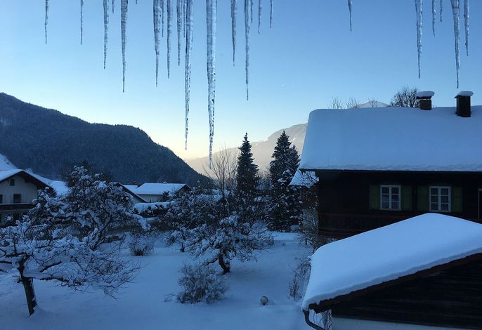 Bild 15