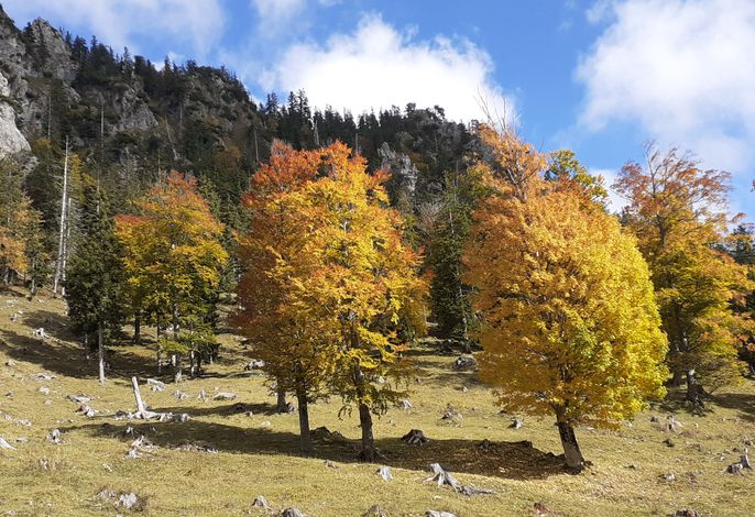 Bild 10