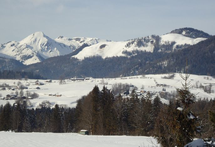Bild 7