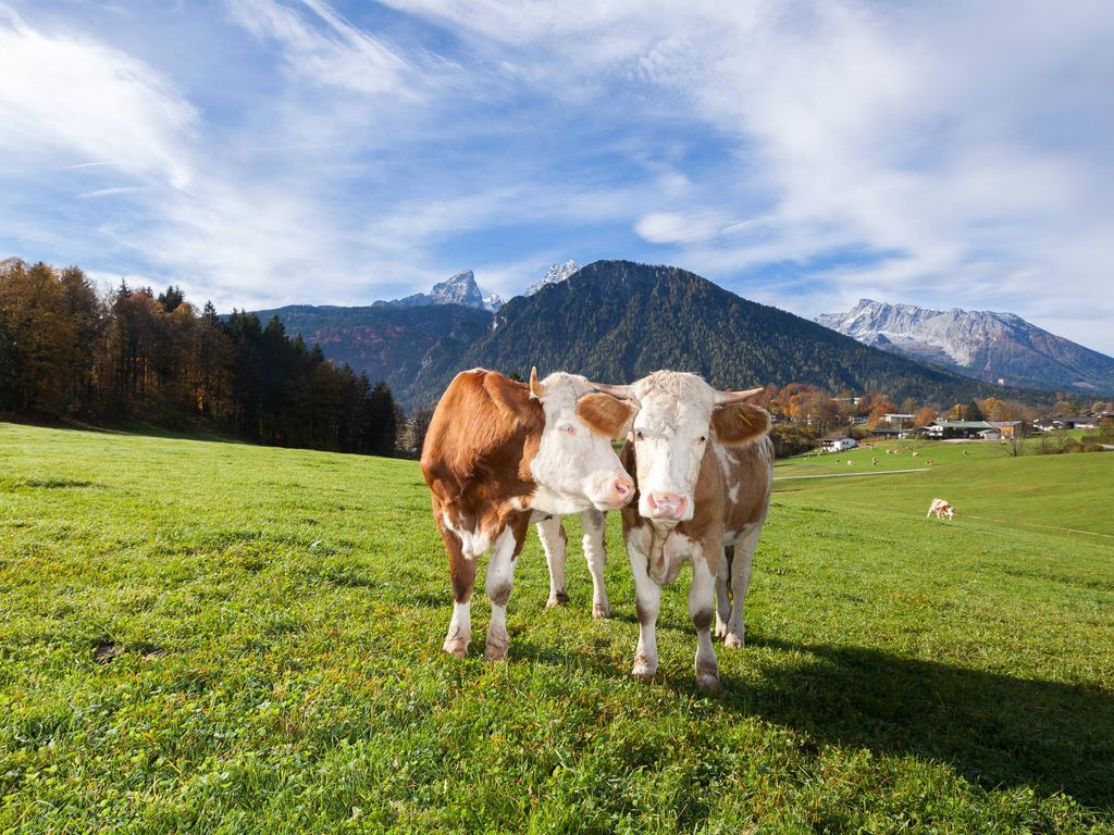 Berge