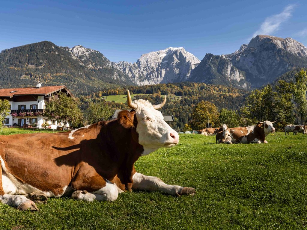 Berge