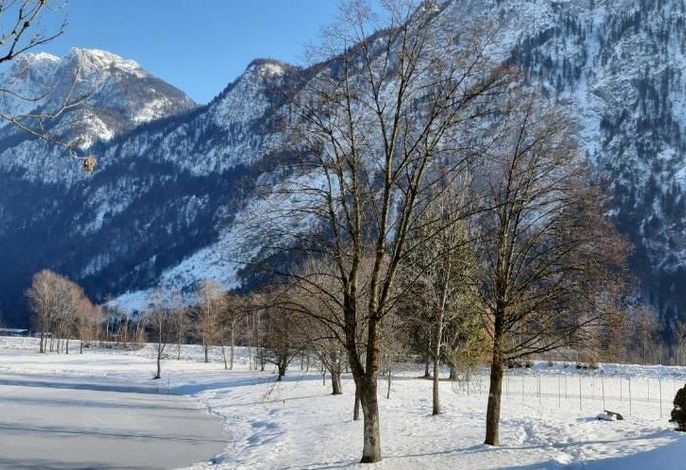 Bild 8