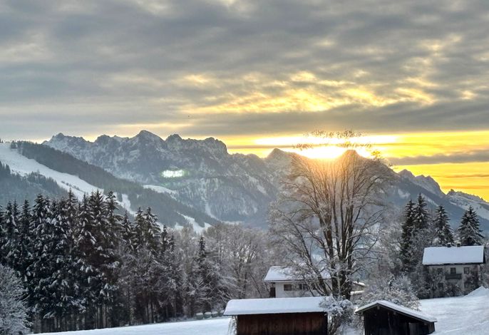 Bild 19