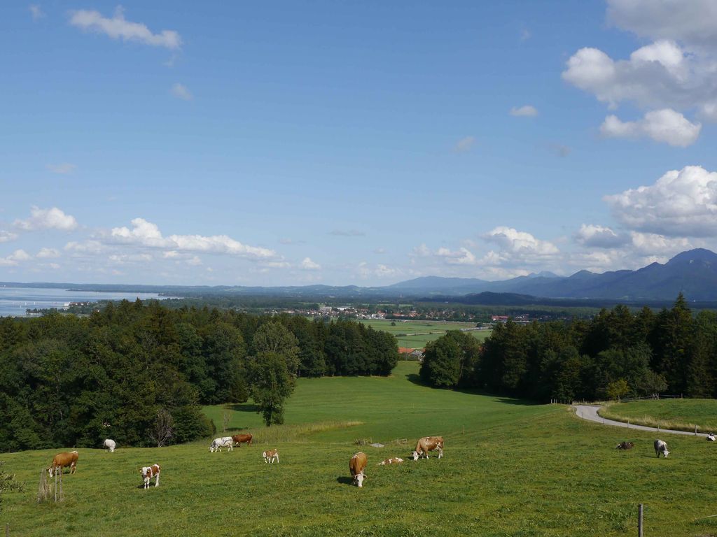 Umgebung