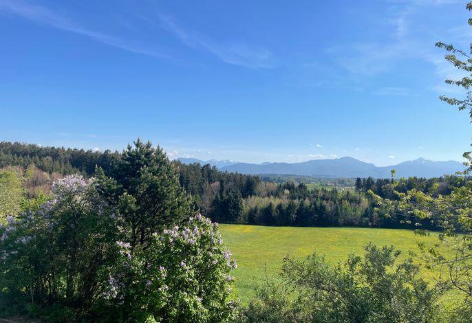 Ferienhaus Siedenberg – Foto 3